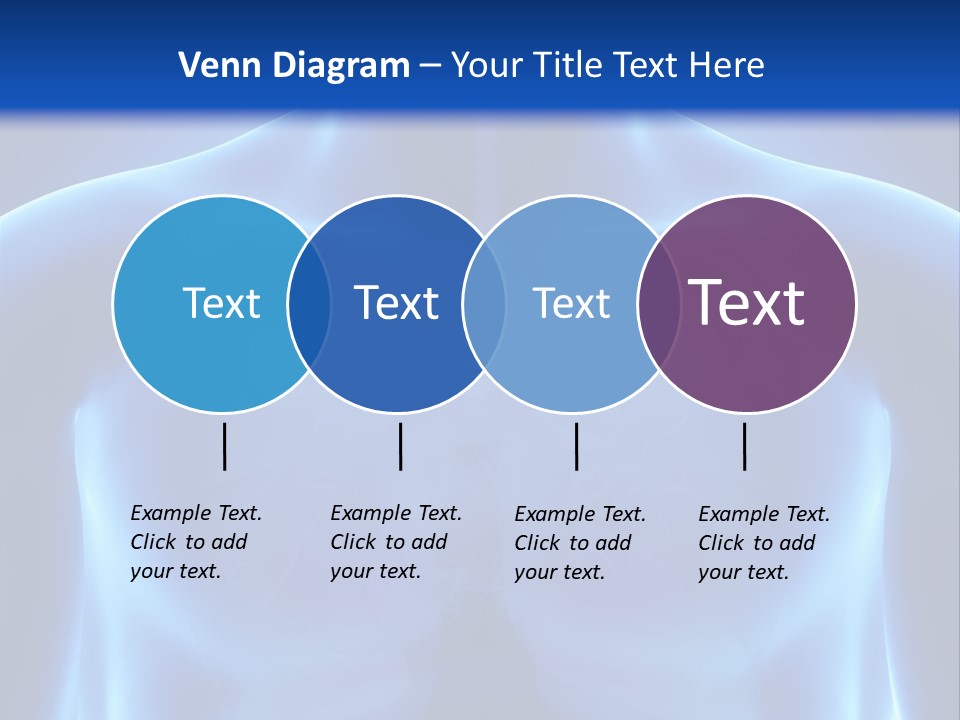 Torso Health Anatomy PowerPoint Template