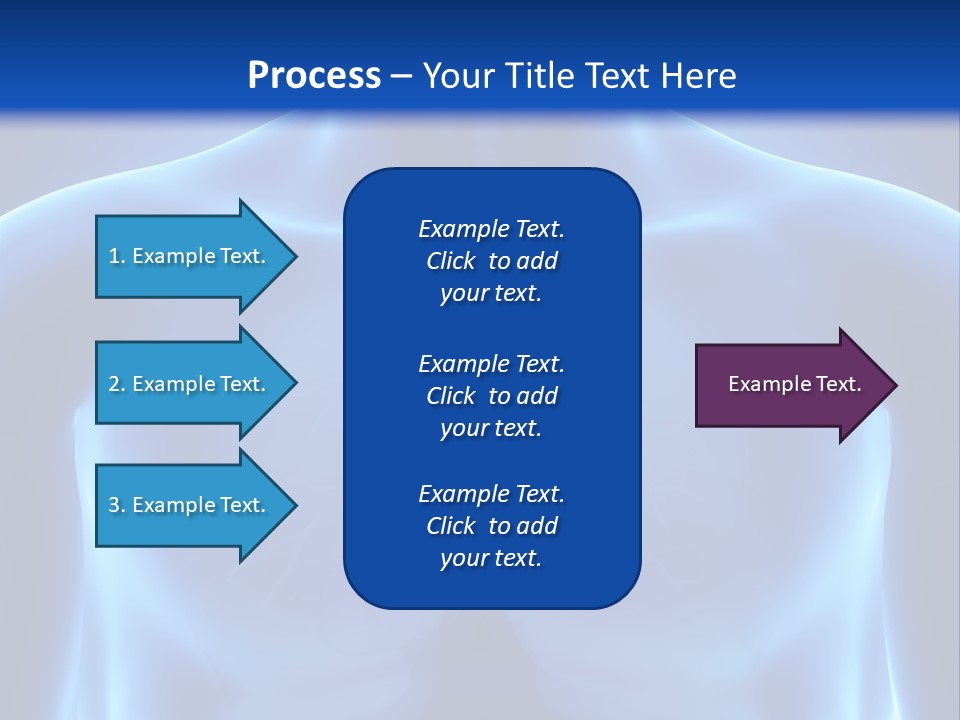 Torso Health Anatomy PowerPoint Template