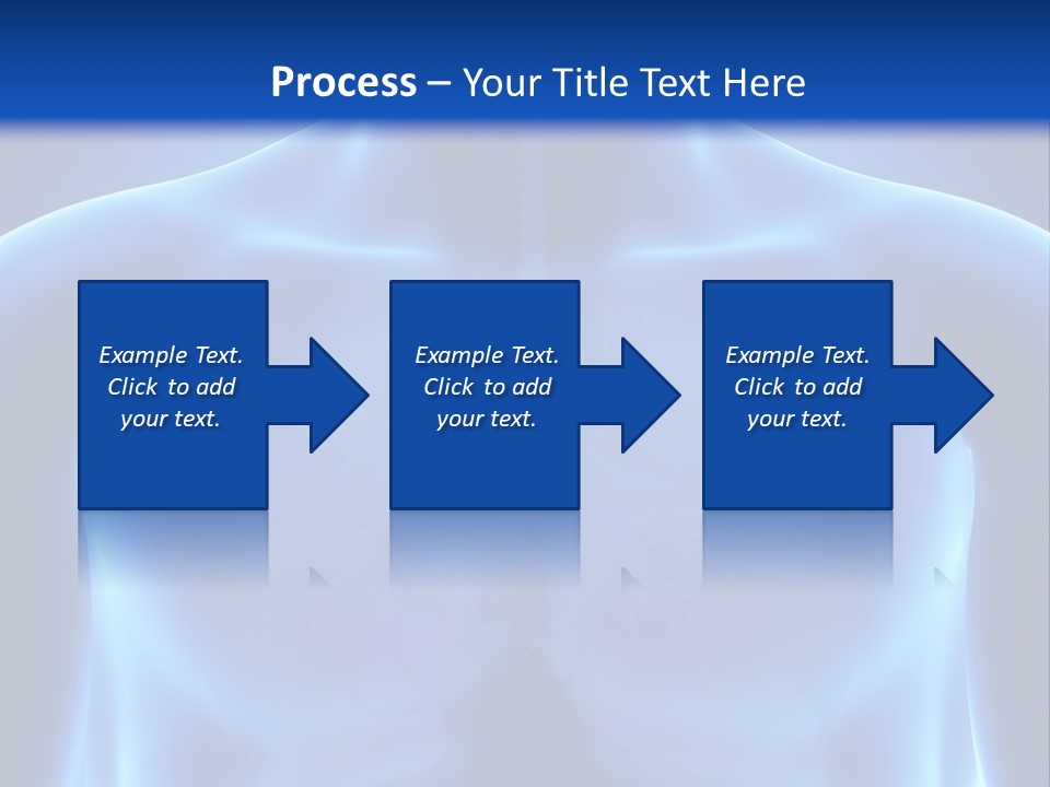 Torso Health Anatomy PowerPoint Template