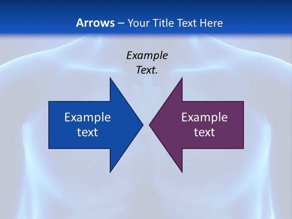 Torso Health Anatomy PowerPoint Template
