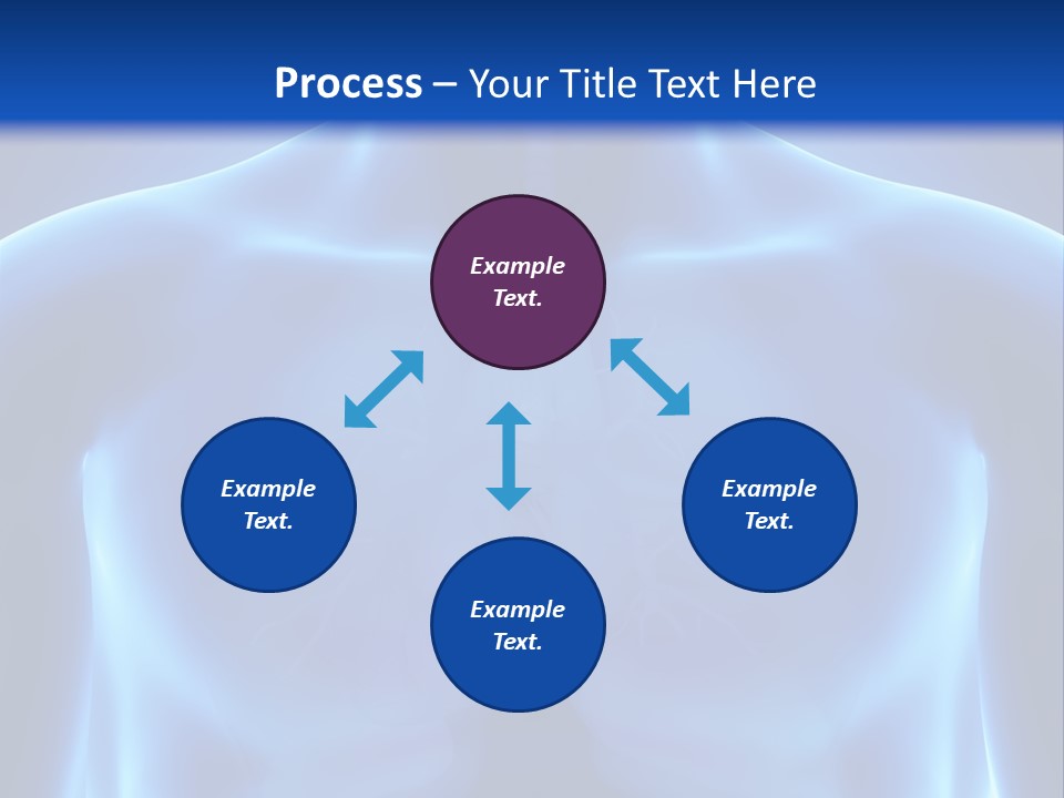 Torso Health Anatomy PowerPoint Template