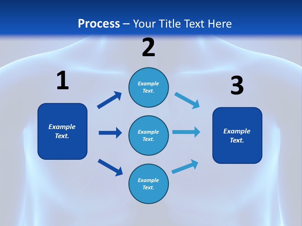 Torso Health Anatomy PowerPoint Template
