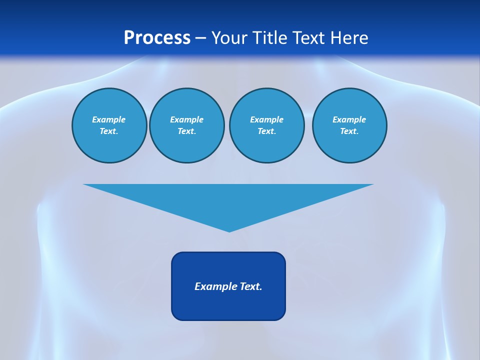 Torso Health Anatomy PowerPoint Template