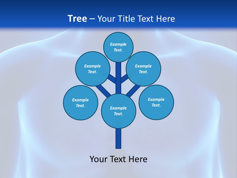 Torso Health Anatomy PowerPoint Template