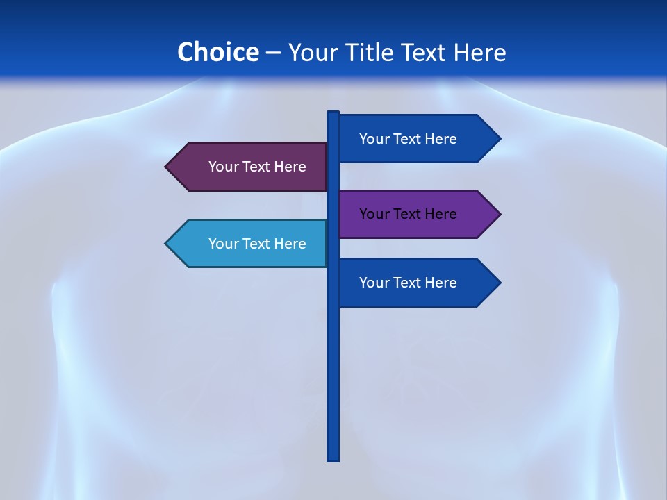 Torso Health Anatomy PowerPoint Template