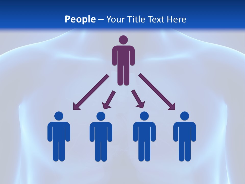 Torso Health Anatomy PowerPoint Template