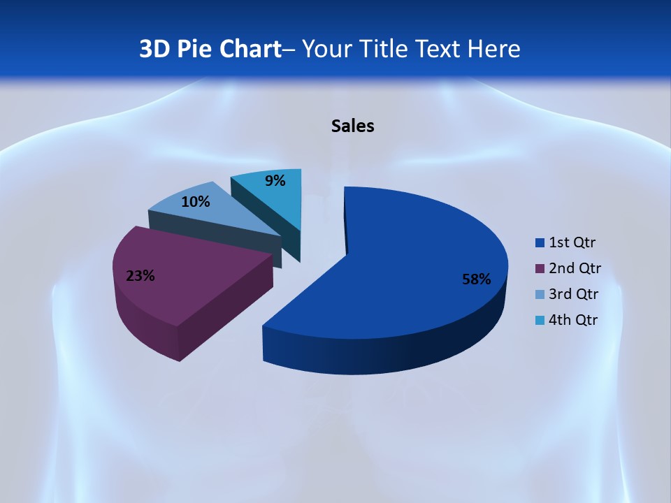 Torso Health Anatomy PowerPoint Template