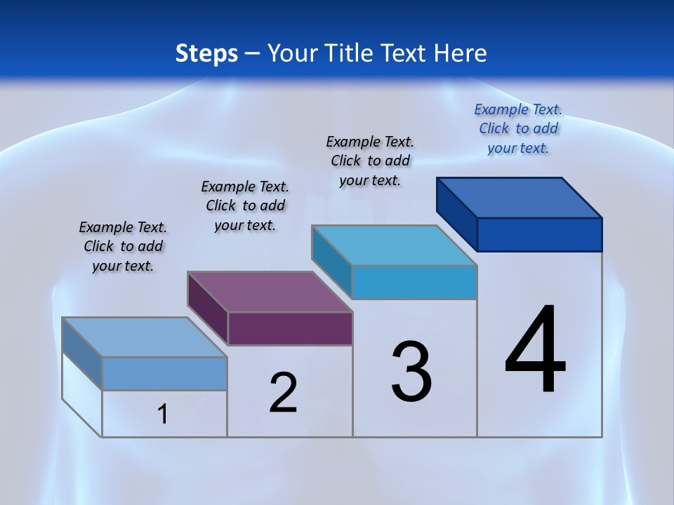 Torso Health Anatomy PowerPoint Template