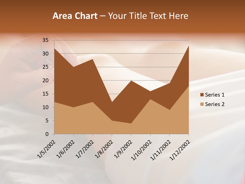 Bu Ine Corporation Communication PowerPoint Template