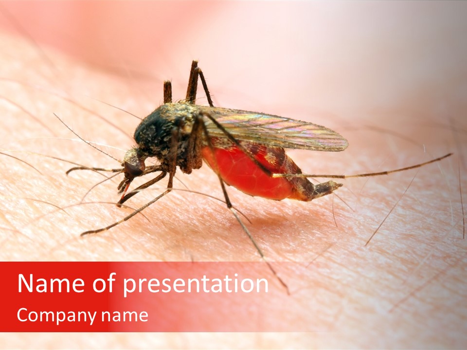 Dangerous Bacterial Danger PowerPoint Template