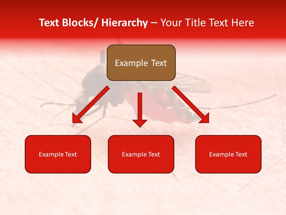 Dangerous Bacterial Danger PowerPoint Template