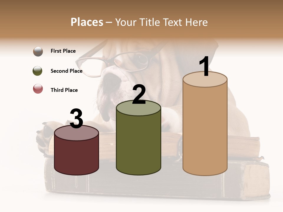 Clever Student Bulldog PowerPoint Template