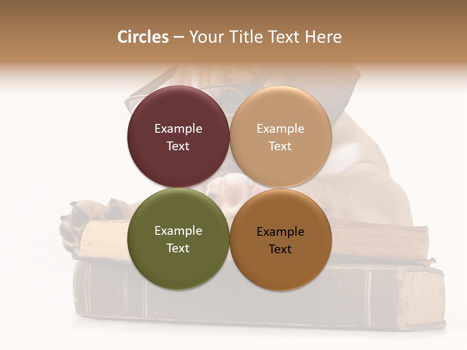 Clever Student Bulldog PowerPoint Template