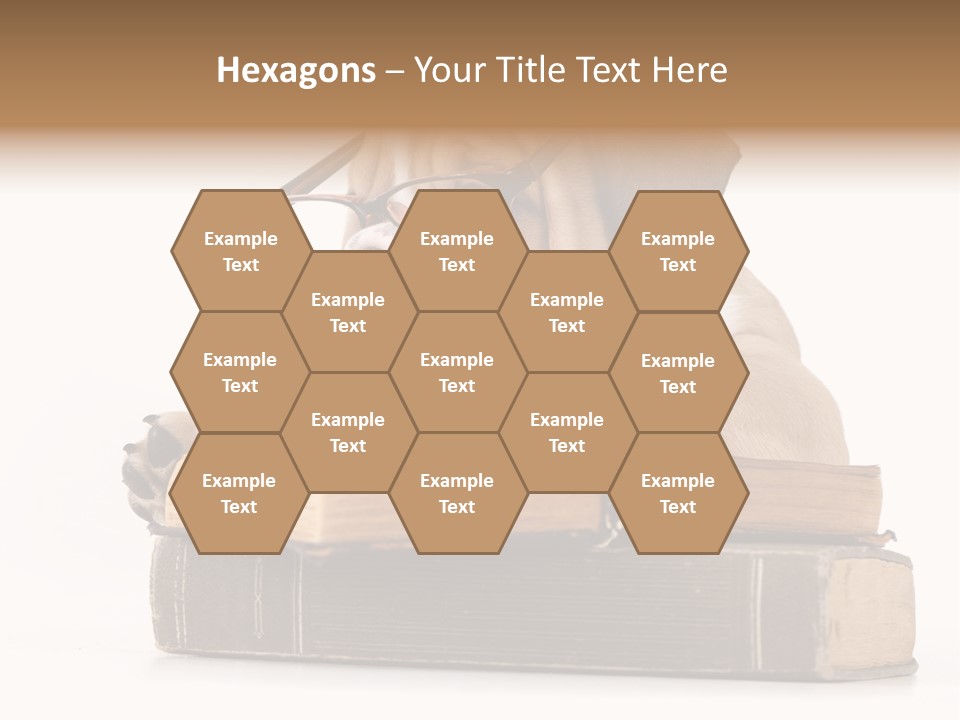 Clever Student Bulldog PowerPoint Template