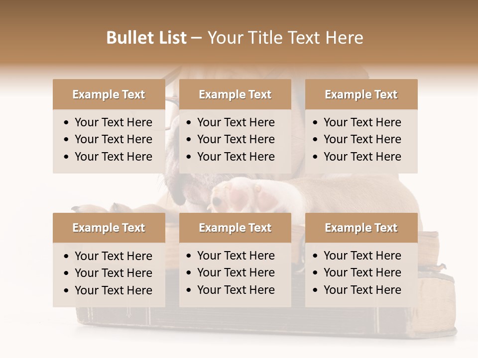 Clever Student Bulldog PowerPoint Template