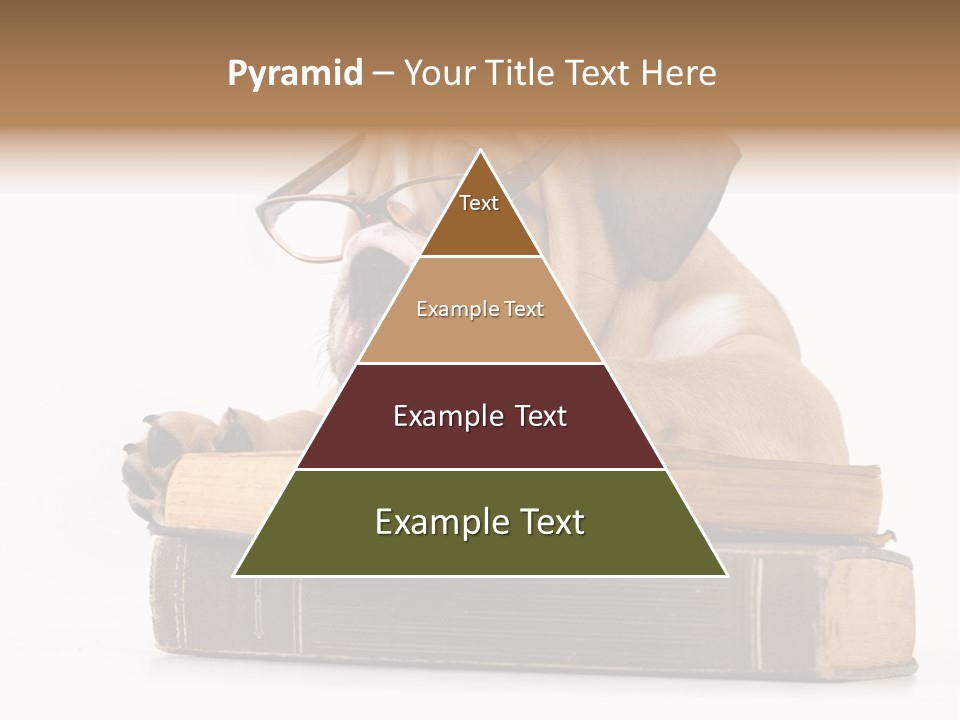 Clever Student Bulldog PowerPoint Template