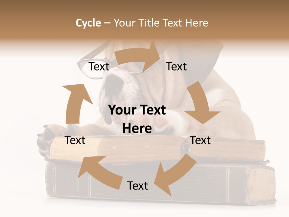 Clever Student Bulldog PowerPoint Template