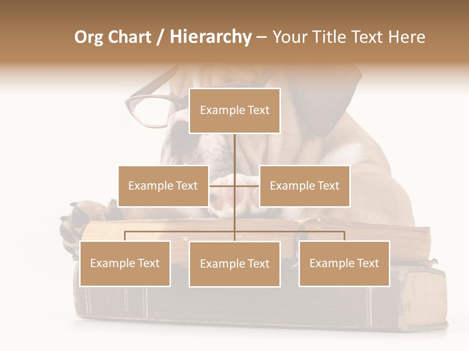 Clever Student Bulldog PowerPoint Template