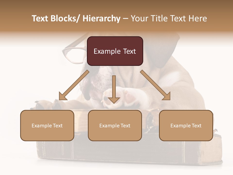 Clever Student Bulldog PowerPoint Template