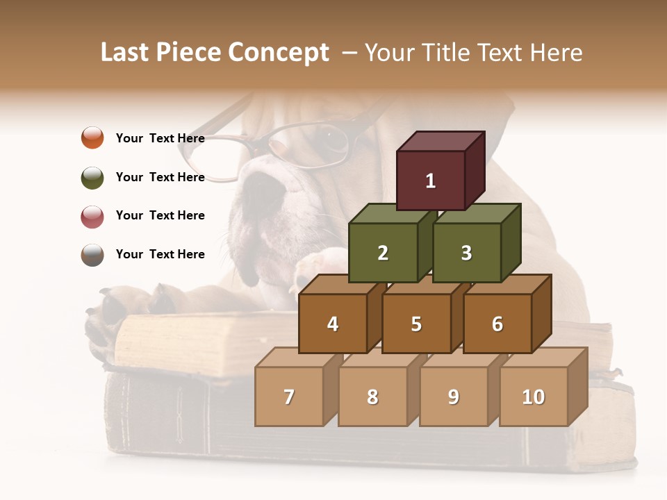 Clever Student Bulldog PowerPoint Template