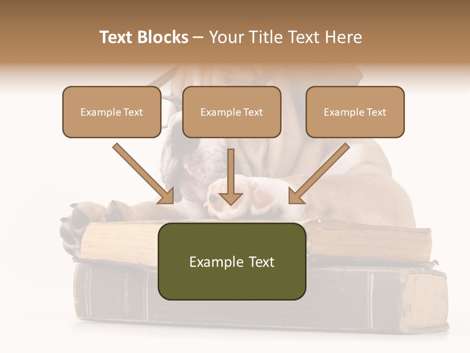 Clever Student Bulldog PowerPoint Template