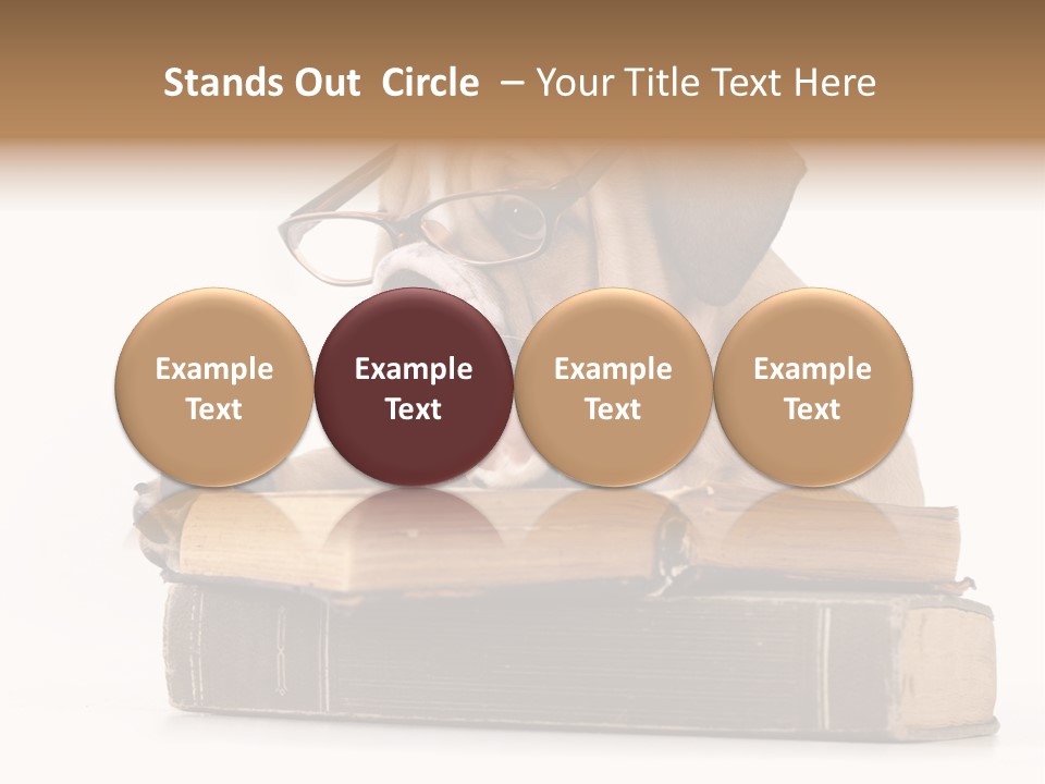 Clever Student Bulldog PowerPoint Template