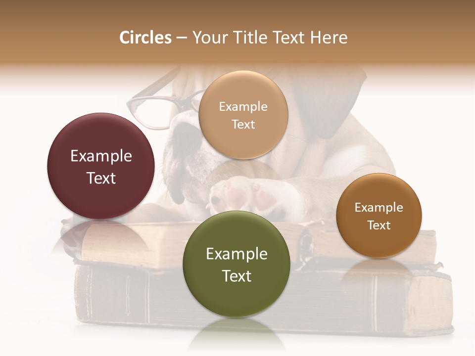 Clever Student Bulldog PowerPoint Template