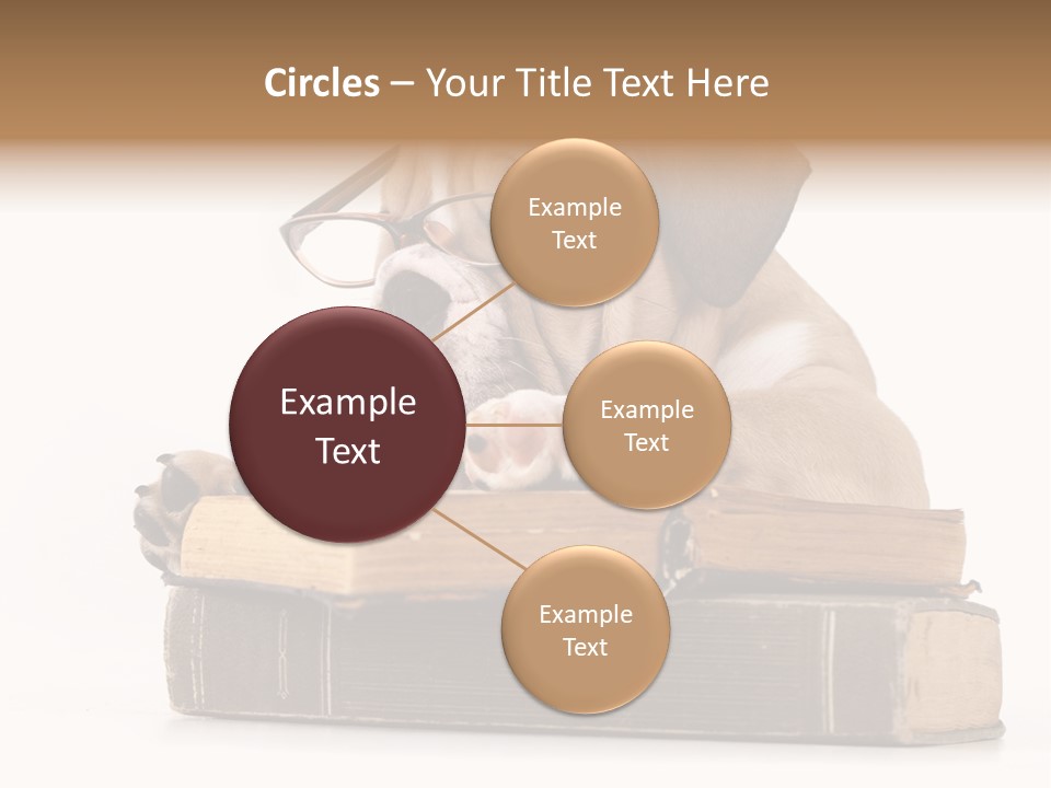 Clever Student Bulldog PowerPoint Template