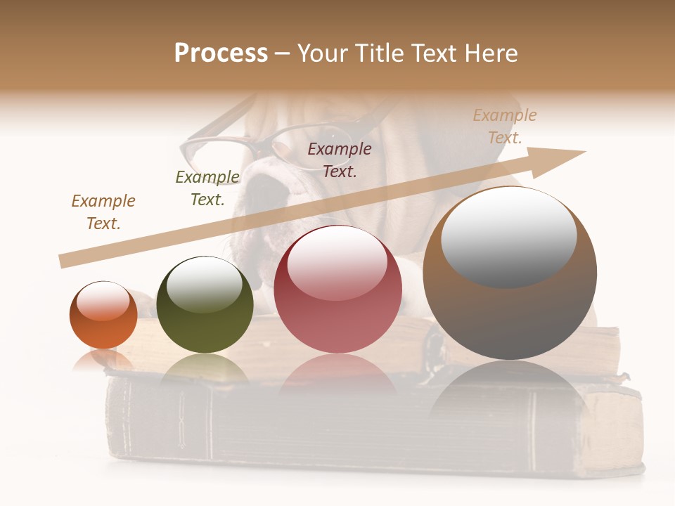 Clever Student Bulldog PowerPoint Template