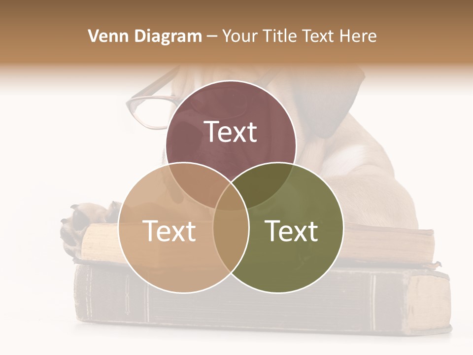 Clever Student Bulldog PowerPoint Template