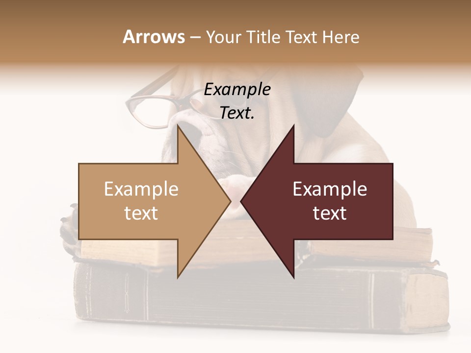 Clever Student Bulldog PowerPoint Template