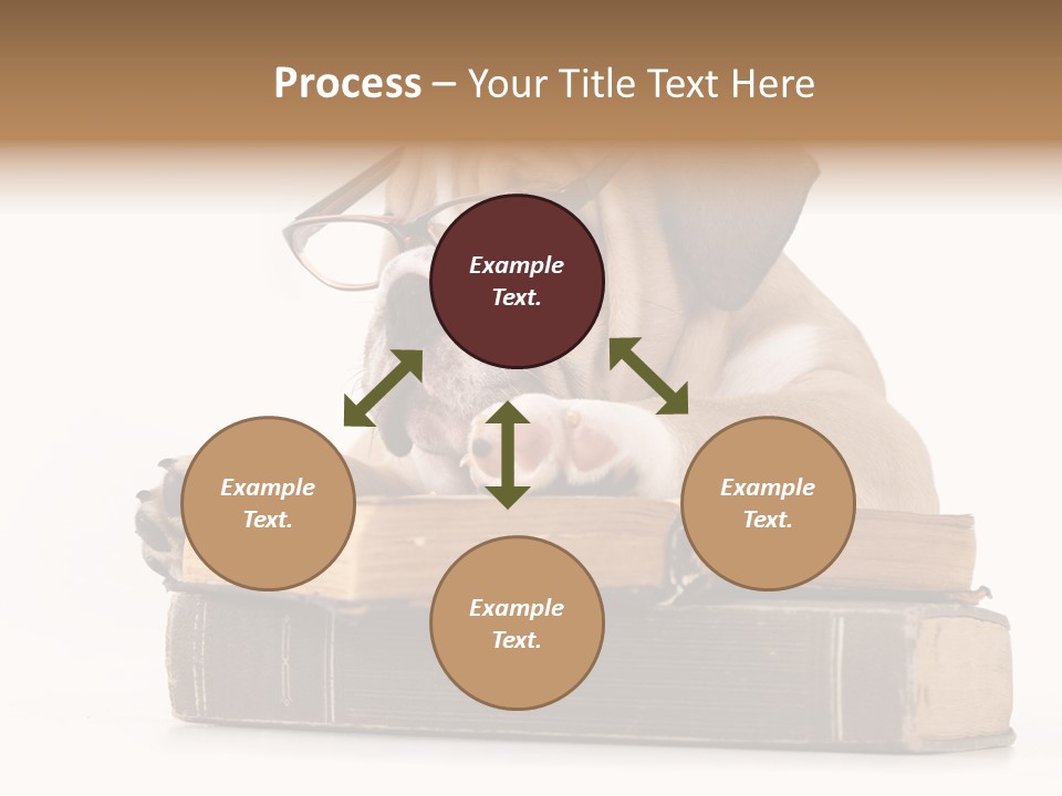 Clever Student Bulldog PowerPoint Template