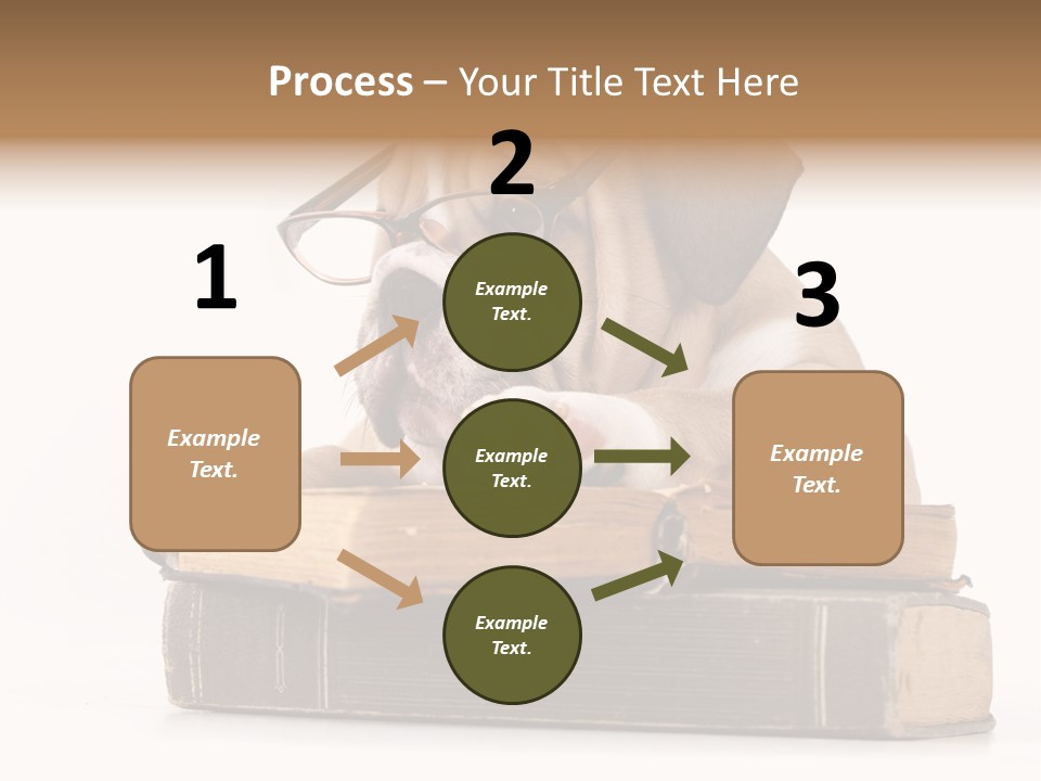 Clever Student Bulldog PowerPoint Template