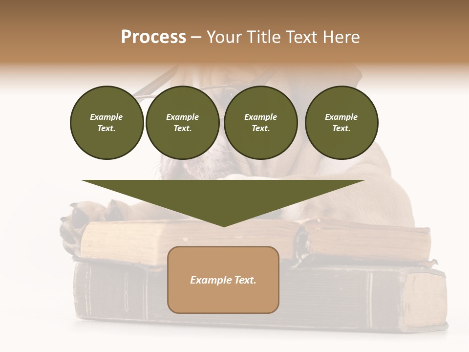 Clever Student Bulldog PowerPoint Template