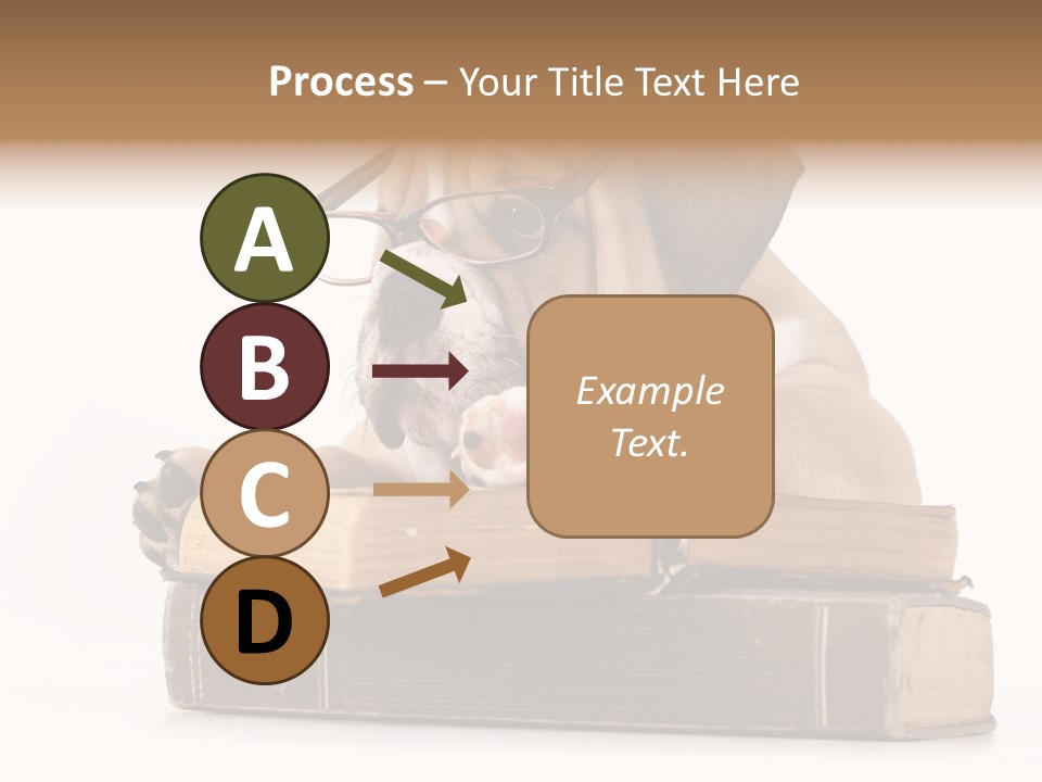 Clever Student Bulldog PowerPoint Template
