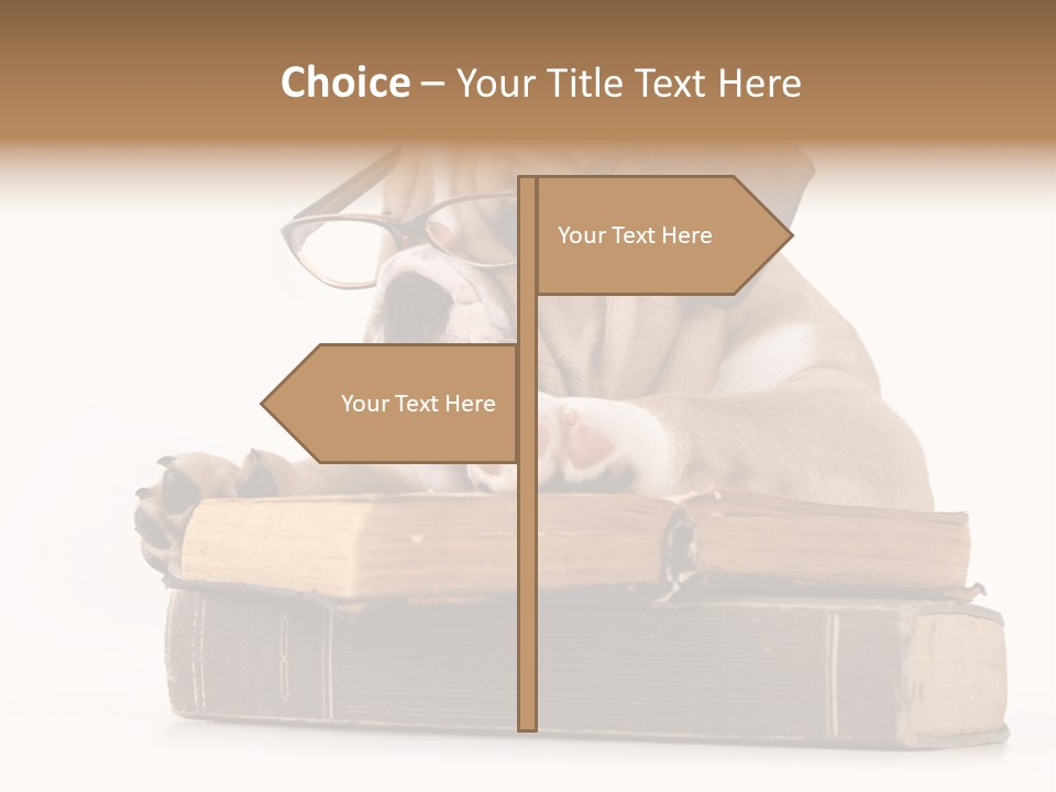 Clever Student Bulldog PowerPoint Template