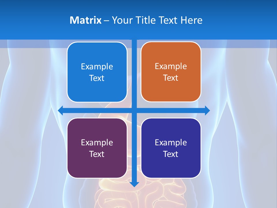 Ileocecal Valve Diagnose Abdominal PowerPoint Template