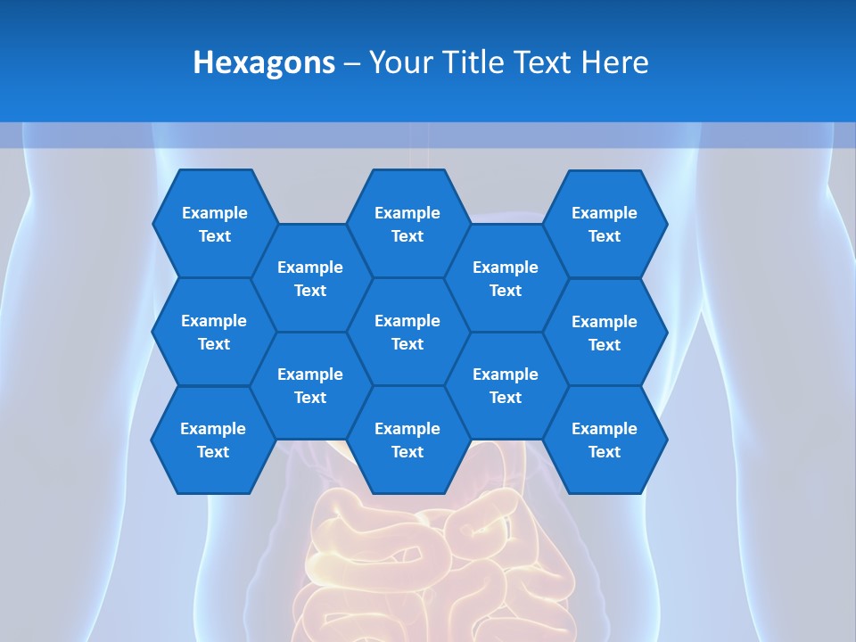 Ileocecal Valve Diagnose Abdominal PowerPoint Template