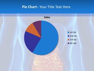 Ileocecal Valve Diagnose Abdominal PowerPoint Template