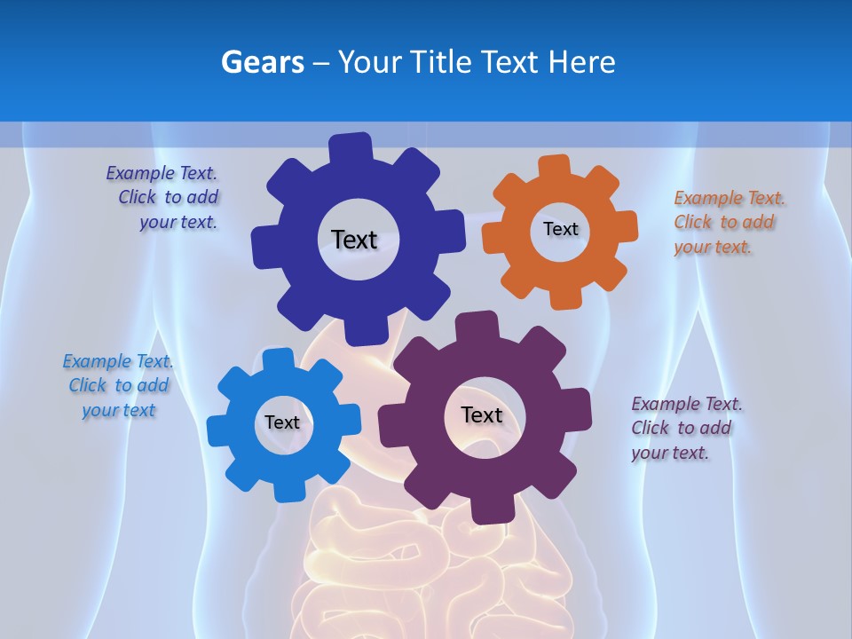 Ileocecal Valve Diagnose Abdominal PowerPoint Template