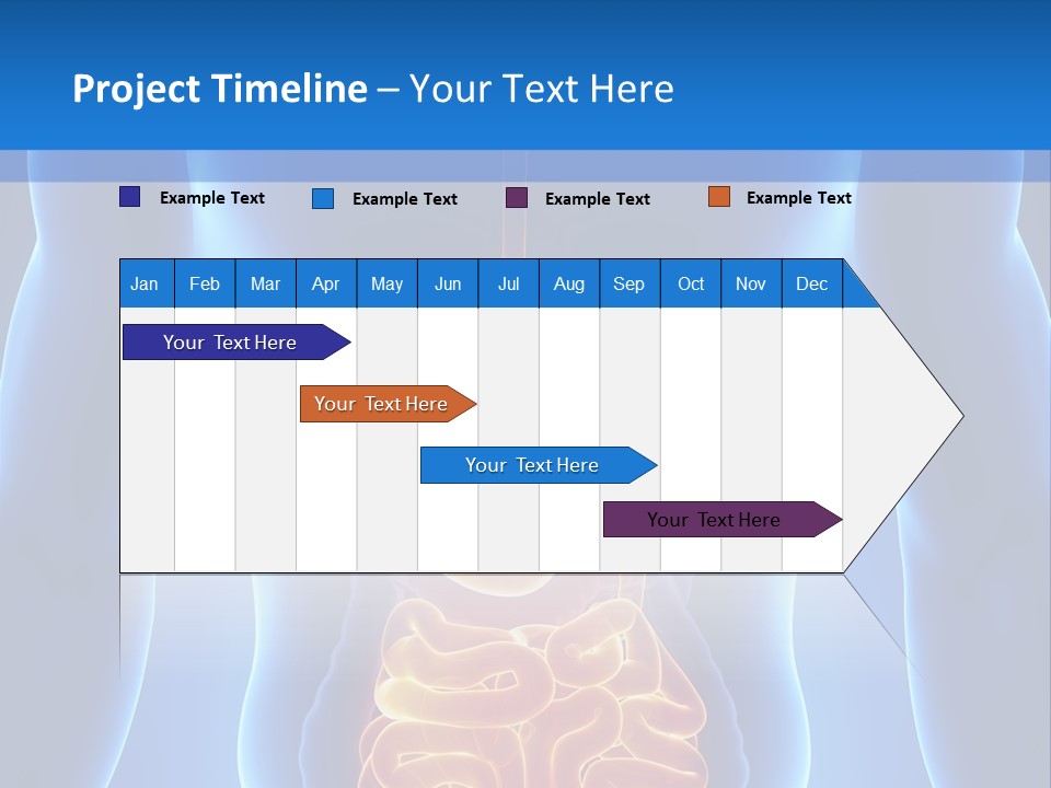 Ileocecal Valve Diagnose Abdominal PowerPoint Template