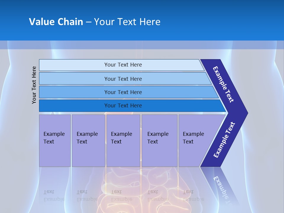 Ileocecal Valve Diagnose Abdominal PowerPoint Template