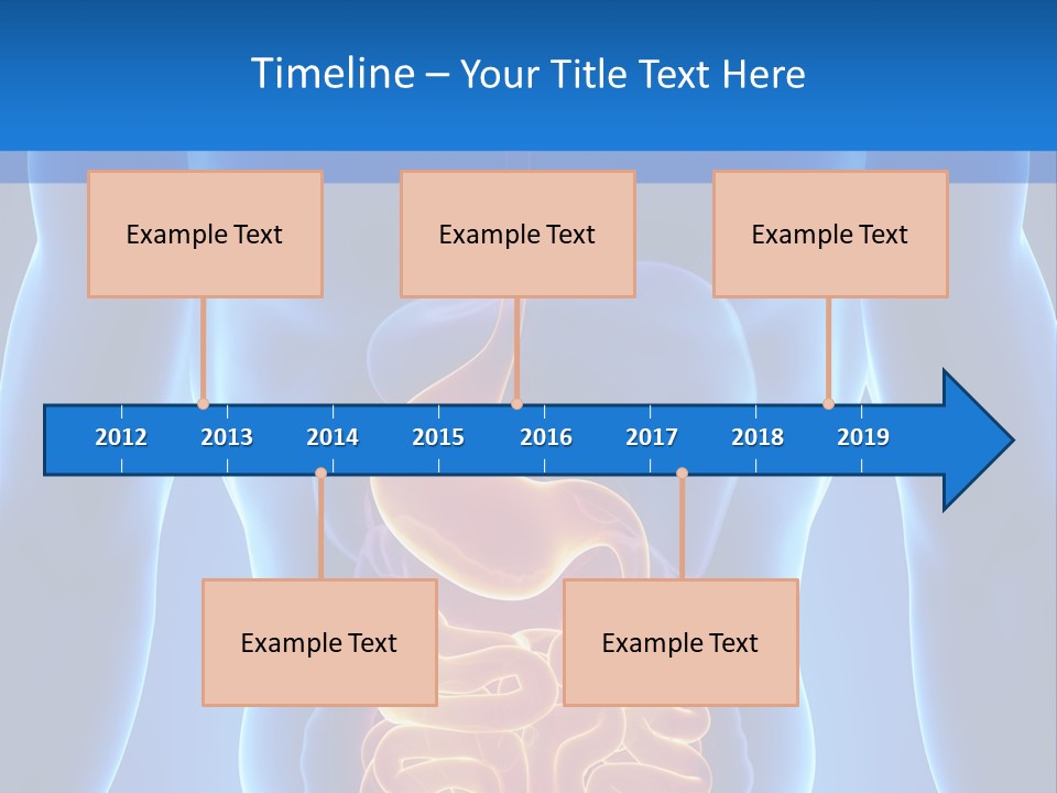 Ileocecal Valve Diagnose Abdominal PowerPoint Template