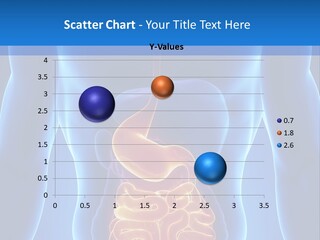 Ileocecal Valve Diagnose Abdominal PowerPoint Template