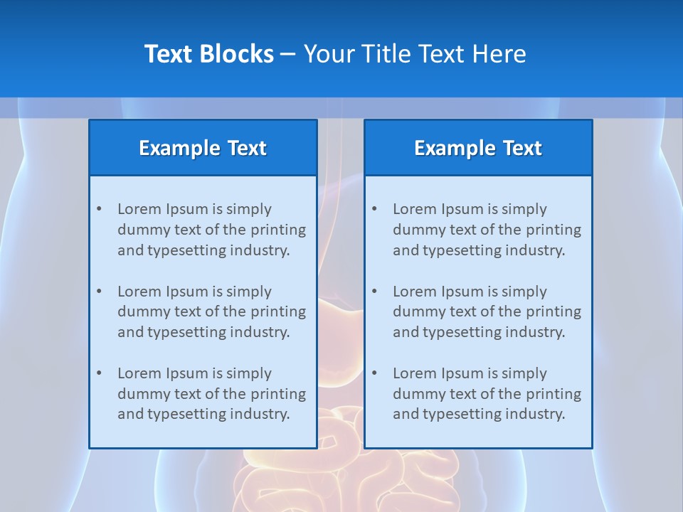 Ileocecal Valve Diagnose Abdominal PowerPoint Template