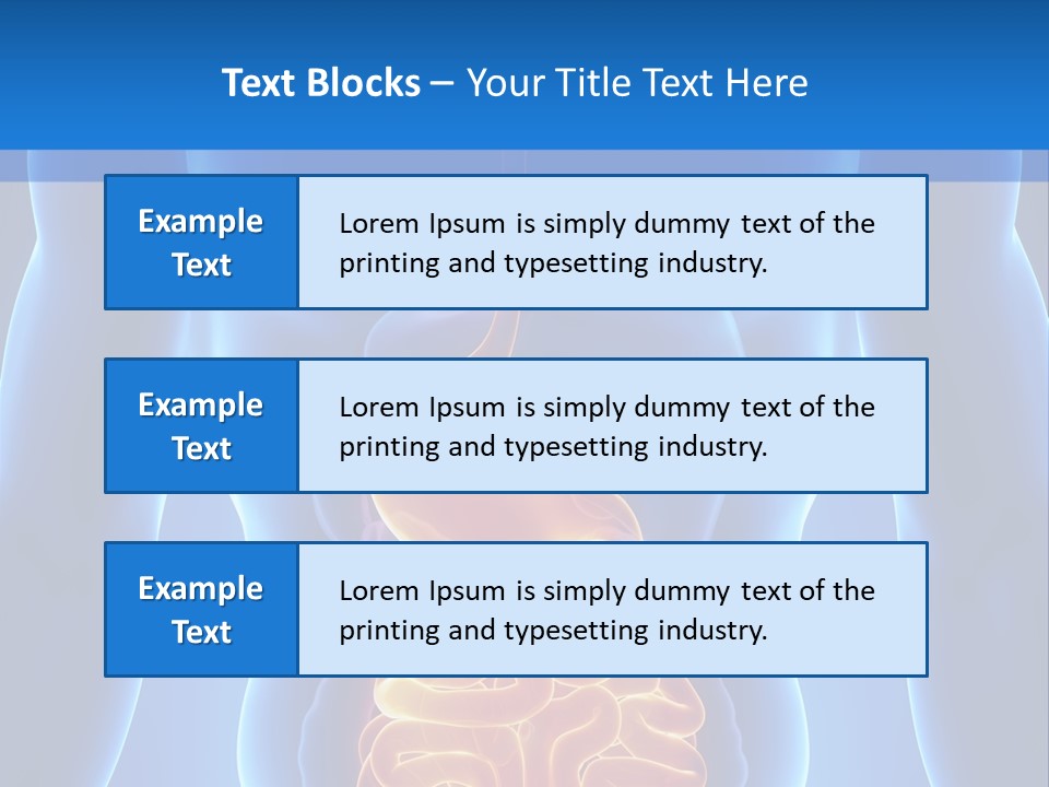 Ileocecal Valve Diagnose Abdominal PowerPoint Template