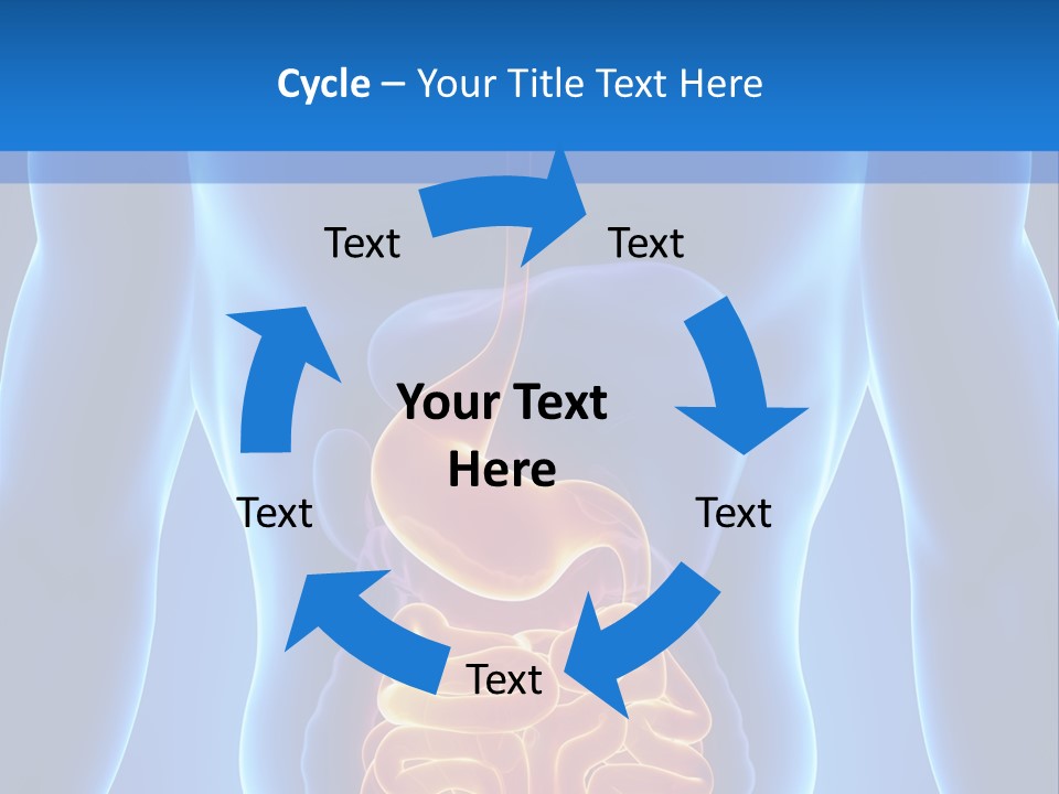 Ileocecal Valve Diagnose Abdominal PowerPoint Template