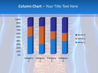 Ileocecal Valve Diagnose Abdominal PowerPoint Template