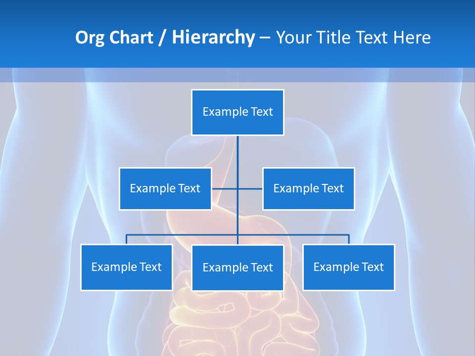 Ileocecal Valve Diagnose Abdominal PowerPoint Template