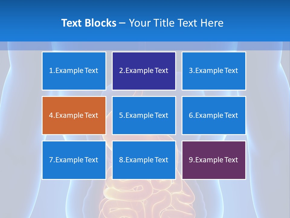 Ileocecal Valve Diagnose Abdominal PowerPoint Template